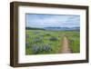 USA, Oregon. Tom McCall Nature Preserve, Rowena Plateau Trail.-Rob Tilley-Framed Photographic Print