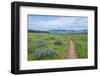 USA, Oregon. Tom McCall Nature Preserve, Rowena Plateau Trail.-Rob Tilley-Framed Photographic Print