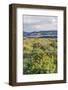 USA, Oregon. Tom McCall Nature Preserve, Rowena Plateau wildflowers.-Rob Tilley-Framed Photographic Print