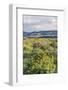 USA, Oregon. Tom McCall Nature Preserve, Rowena Plateau wildflowers.-Rob Tilley-Framed Photographic Print