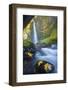 Usa. Oregon. Tunnel Falls in the Columbia Gorge-Gary Luhm-Framed Photographic Print