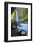 Usa. Oregon. Tunnel Falls in the Columbia Gorge-Gary Luhm-Framed Photographic Print