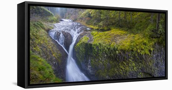 Usa. Oregon. Twister Falls on Eagle Creek in the Columbia Gorge-Gary Luhm-Framed Stretched Canvas