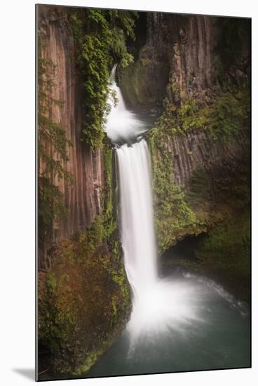 USA, Oregon, Umpqua National Forest. Basalt columns and Toketee Falls.-Jaynes Gallery-Mounted Photographic Print