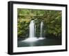 USA, Oregon, Umpqua River. Waterfall.-Jaynes Gallery-Framed Photographic Print