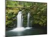 USA, Oregon, Umpqua River. Waterfall.-Jaynes Gallery-Mounted Photographic Print