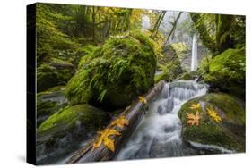 USA, Oregon. View from Below Elowah Falls on Mccord Creek in Autumn in the Columbia Gorge-Gary Luhm-Stretched Canvas