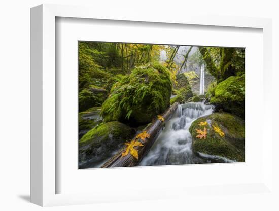 USA, Oregon. View from Below Elowah Falls on Mccord Creek in Autumn in the Columbia Gorge-Gary Luhm-Framed Photographic Print