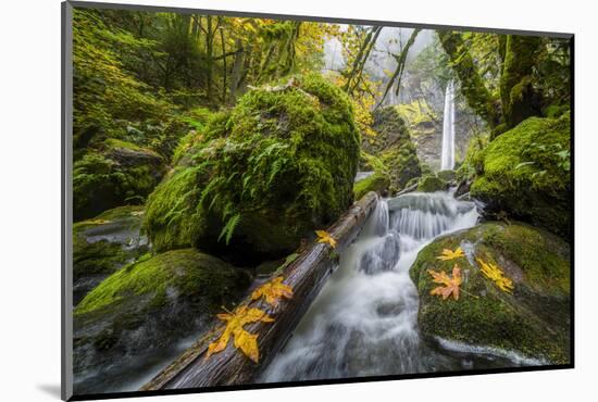 USA, Oregon. View from Below Elowah Falls on Mccord Creek in Autumn in the Columbia Gorge-Gary Luhm-Mounted Photographic Print