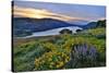 USA, Oregon. View of Lake Bonneville at sunrise.-Jaynes Gallery-Stretched Canvas