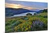 USA, Oregon. View of Lake Bonneville at sunrise.-Jaynes Gallery-Mounted Premium Photographic Print