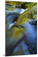 USA, Oregon. Water Flow over Rocks in Creek-Jaynes Gallery-Mounted Premium Photographic Print