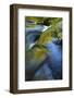 USA, Oregon. Water Flow over Rocks in Creek-Jaynes Gallery-Framed Photographic Print