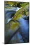 USA, Oregon. Water Flow over Rocks in Creek-Jaynes Gallery-Mounted Photographic Print