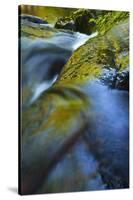 USA, Oregon. Water Flow over Rocks in Creek-Jaynes Gallery-Stretched Canvas