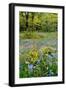 USA, Oregon, West Linn. Wildflowers in Camassia Natural Area-Steve Terrill-Framed Premium Photographic Print