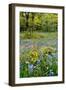 USA, Oregon, West Linn. Wildflowers in Camassia Natural Area-Steve Terrill-Framed Photographic Print