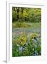 USA, Oregon, West Linn. Wildflowers in Camassia Natural Area-Steve Terrill-Framed Photographic Print