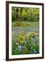 USA, Oregon, West Linn. Wildflowers in Camassia Natural Area-Steve Terrill-Framed Photographic Print