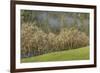 USA, Oregon, Whistler's Bend County Park. Forest.-Jaynes Gallery-Framed Photographic Print