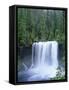 USA, Oregon. Willamette National Forest, McKenzie River plummets over Koosah Falls in spring.-John Barger-Framed Stretched Canvas