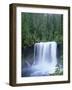 USA, Oregon. Willamette National Forest, McKenzie River plummets over Koosah Falls in spring.-John Barger-Framed Photographic Print