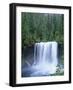 USA, Oregon. Willamette National Forest, McKenzie River plummets over Koosah Falls in spring.-John Barger-Framed Photographic Print