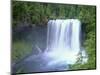 USA, Oregon. Willamette National Forest, McKenzie River plummets over Koosah Falls in spring.-John Barger-Mounted Photographic Print