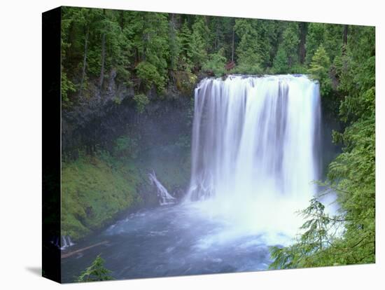 USA, Oregon. Willamette National Forest, McKenzie River plummets over Koosah Falls in spring.-John Barger-Stretched Canvas