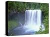 USA, Oregon. Willamette National Forest, McKenzie River plummets over Koosah Falls in spring.-John Barger-Stretched Canvas