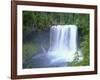 USA, Oregon. Willamette National Forest, McKenzie River plummets over Koosah Falls in spring.-John Barger-Framed Photographic Print