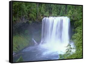 USA, Oregon. Willamette National Forest, McKenzie River plummets over Koosah Falls in spring.-John Barger-Framed Stretched Canvas