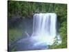 USA, Oregon. Willamette National Forest, McKenzie River plummets over Koosah Falls in spring.-John Barger-Stretched Canvas