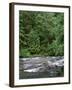 USA, Oregon. Willamette National Forest, South Santiam River and lush old growth forest.-John Barger-Framed Photographic Print