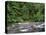 USA, Oregon. Willamette National Forest, South Santiam River and lush old growth forest.-John Barger-Stretched Canvas