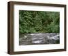 USA, Oregon. Willamette National Forest, South Santiam River and lush old growth forest.-John Barger-Framed Photographic Print