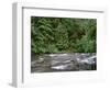USA, Oregon. Willamette National Forest, South Santiam River and lush old growth forest.-John Barger-Framed Photographic Print