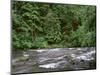 USA, Oregon. Willamette National Forest, South Santiam River and lush old growth forest.-John Barger-Mounted Photographic Print