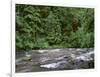 USA, Oregon. Willamette National Forest, South Santiam River and lush old growth forest.-John Barger-Framed Photographic Print