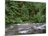 USA, Oregon. Willamette National Forest, South Santiam River and lush old growth forest.-John Barger-Mounted Photographic Print