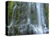 USA, Oregon. Willamette National Forest, Three Sisters Wilderness, Lower Proxy Falls and lush moss.-John Barger-Stretched Canvas