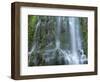 USA, Oregon. Willamette National Forest, Three Sisters Wilderness, Lower Proxy Falls and lush moss.-John Barger-Framed Photographic Print