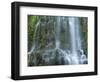 USA, Oregon. Willamette National Forest, Three Sisters Wilderness, Lower Proxy Falls and lush moss.-John Barger-Framed Photographic Print