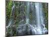 USA, Oregon. Willamette National Forest, Three Sisters Wilderness, Lower Proxy Falls and lush moss.-John Barger-Mounted Photographic Print