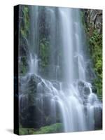 USA, Oregon. Willamette National Forest, Three Sisters Wilderness, Lower Proxy Falls and lush moss.-John Barger-Stretched Canvas