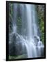 USA, Oregon. Willamette National Forest, Three Sisters Wilderness, Lower Proxy Falls and lush moss.-John Barger-Framed Photographic Print