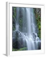 USA, Oregon. Willamette National Forest, Three Sisters Wilderness, Lower Proxy Falls and lush moss.-John Barger-Framed Photographic Print