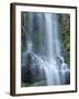 USA, Oregon. Willamette National Forest, Three Sisters Wilderness, Lower Proxy Falls and lush moss.-John Barger-Framed Photographic Print