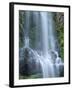 USA, Oregon. Willamette National Forest, Three Sisters Wilderness, Lower Proxy Falls and lush moss.-John Barger-Framed Photographic Print