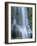 USA, Oregon. Willamette National Forest, Three Sisters Wilderness, Lower Proxy Falls and lush moss.-John Barger-Framed Photographic Print